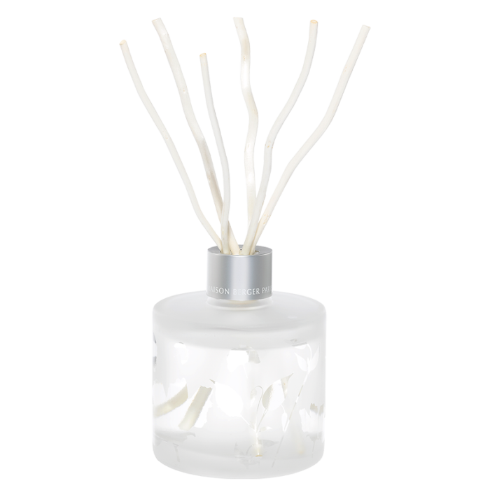 006227_8_2-1678797076 Aroma Focus Scented Bouquet — изображение 1