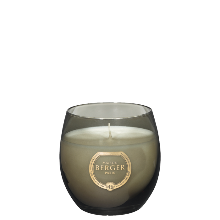 007492_8_1-1695823859 Holly Amber Powder Scented Candle - Image 1