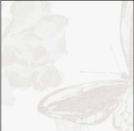 Blumarine - Helena - Cushion  48x48 cm - Image 2