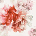 Blumarine – Annabella –  Duvet cover set for double bed 220×200 cm - Image 4